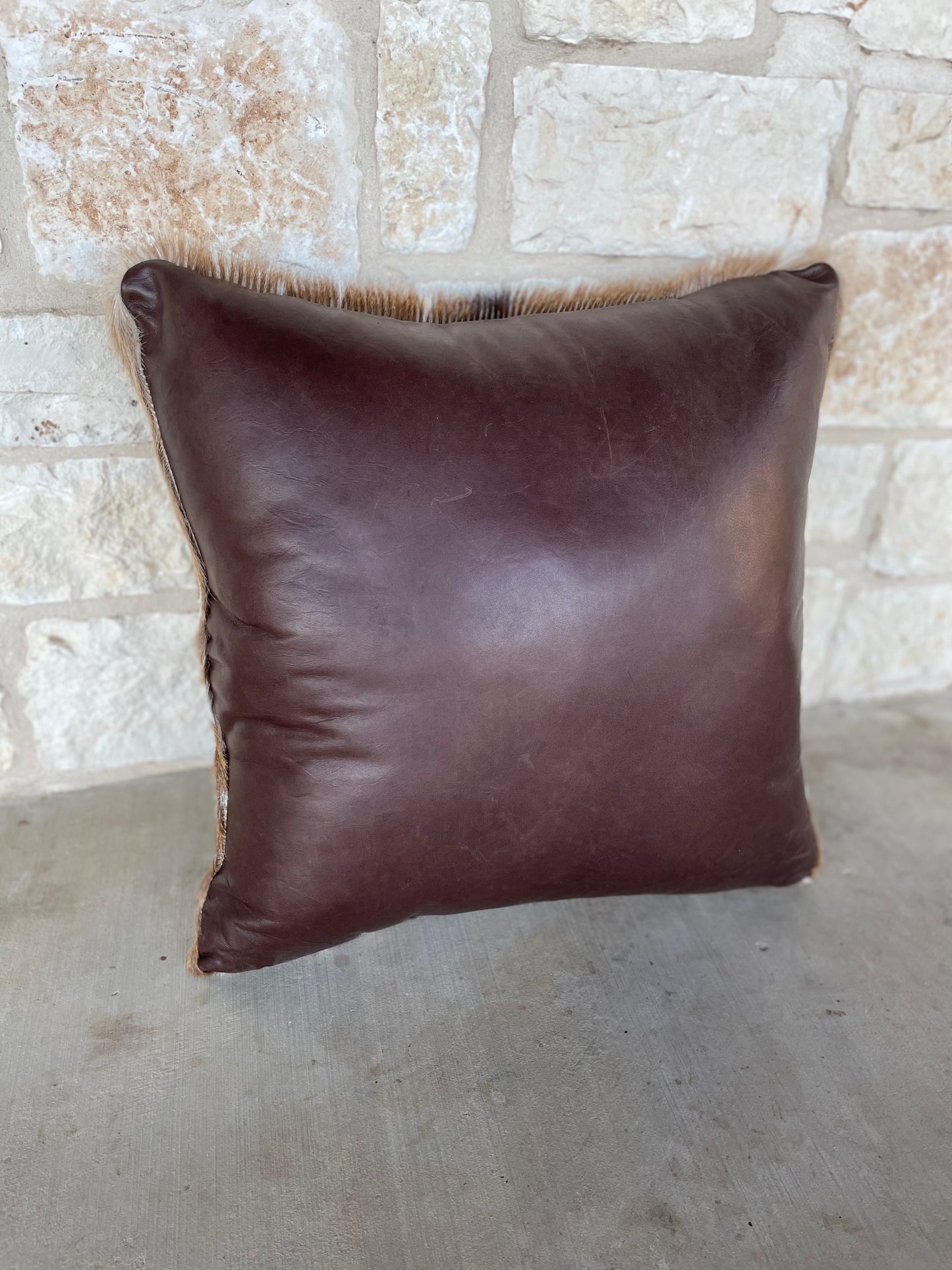 Axis Pillow (XL)